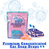 Platinum Palm car wash concentrated pods